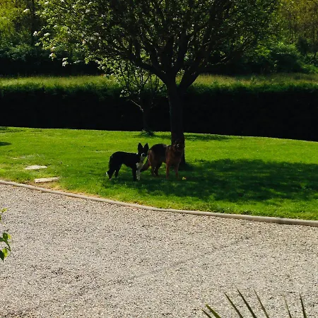 Bed and Breakfast Cascina Martinetta